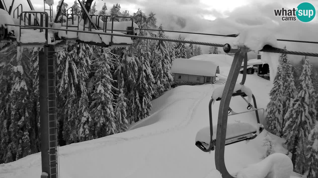 Webcam Kranjska Gora VITRANC 2 | station supérieure