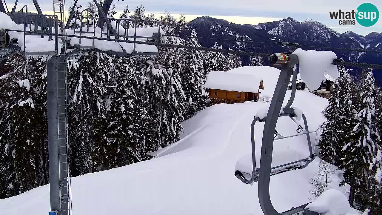 Webcam VITRANC 2 | Kranjska Gora – stazione superiore
