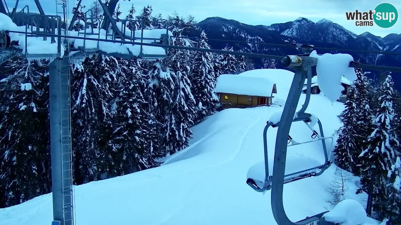 Webcam VITRANC 2 | Kranjska Gora – stazione superiore