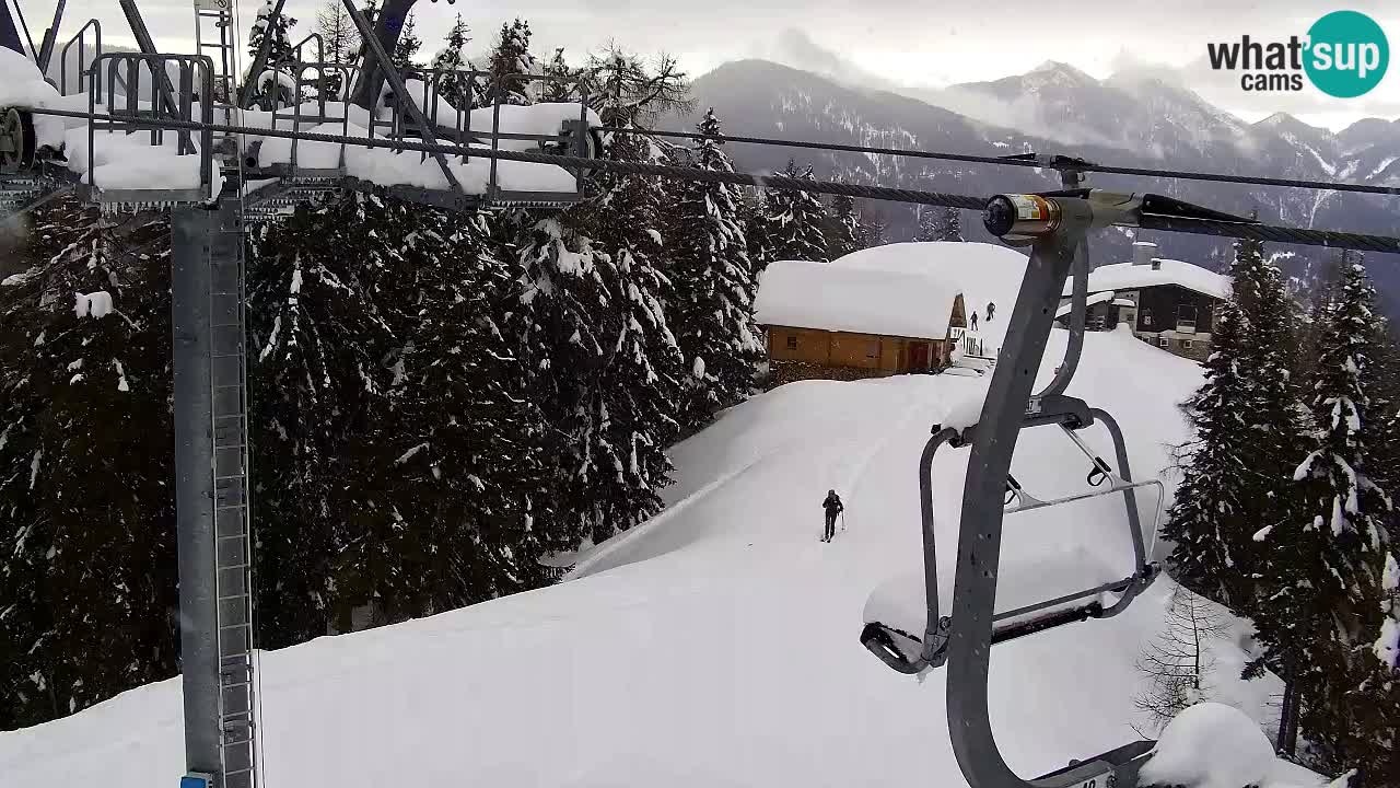 Web kamera Kranjska Gora VITRANC 2 | gornja postaja