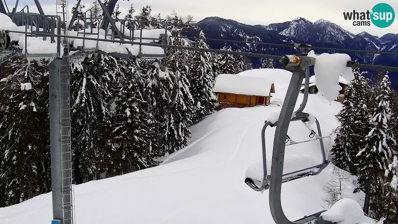 Webcam Kranjska Gora VITRANC 2 | Station supérieure
