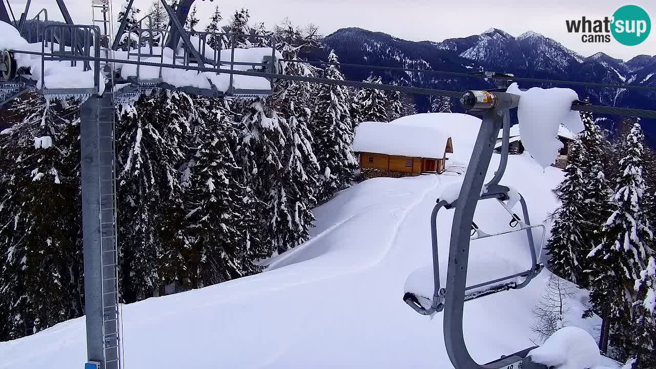 Webcam VITRANC 2 | Kranjska Gora – stazione superiore
