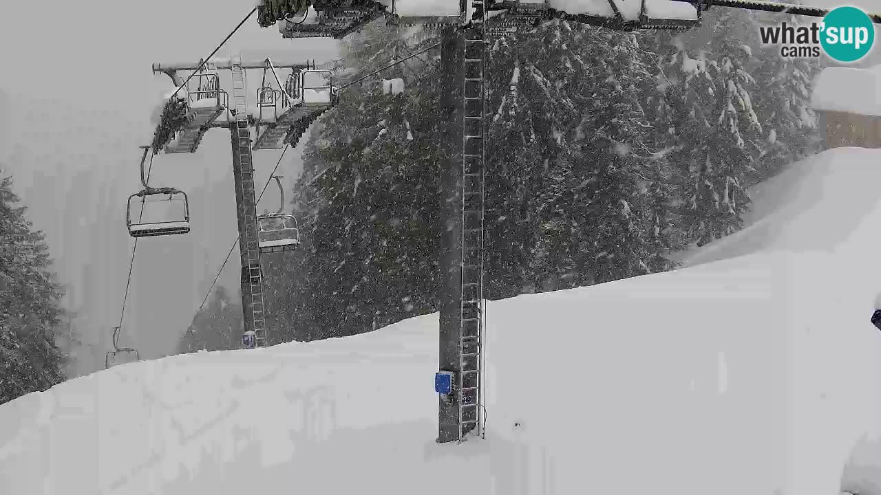 Webcam Kranjska Gora VITRANC 2 | station supérieure