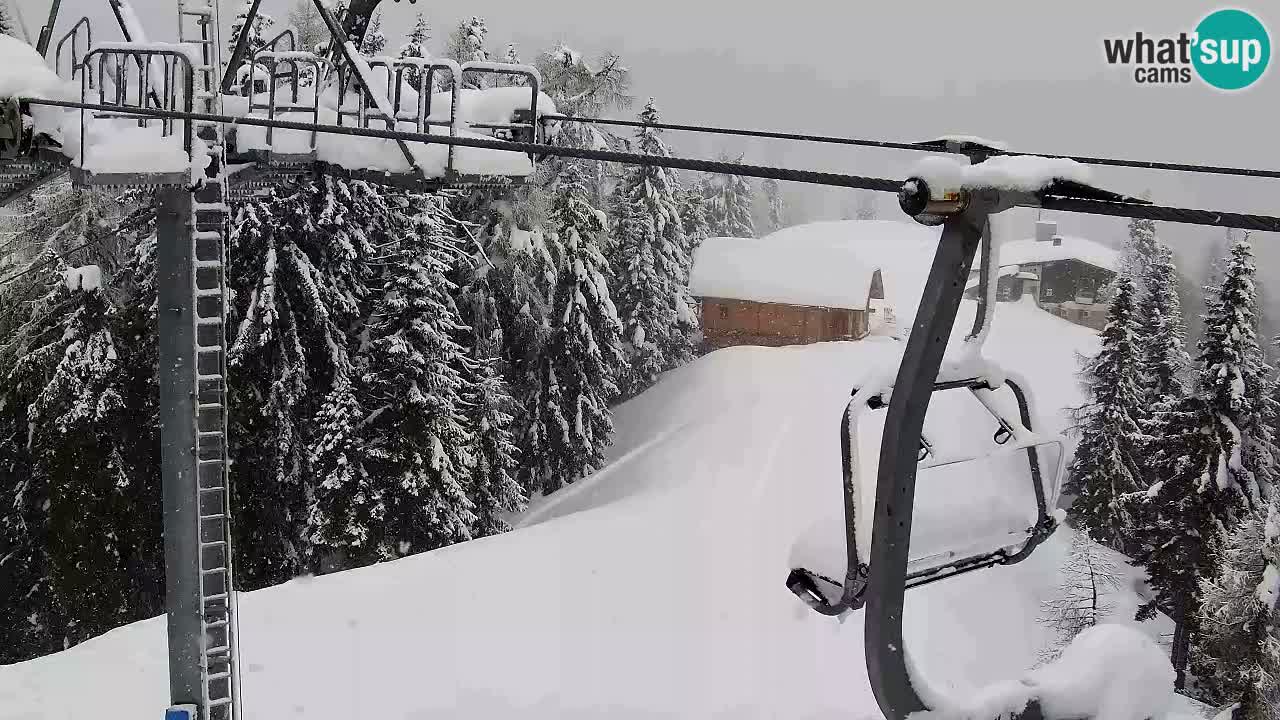 Webcam Kranjska Gora VITRANC 2 | station supérieure