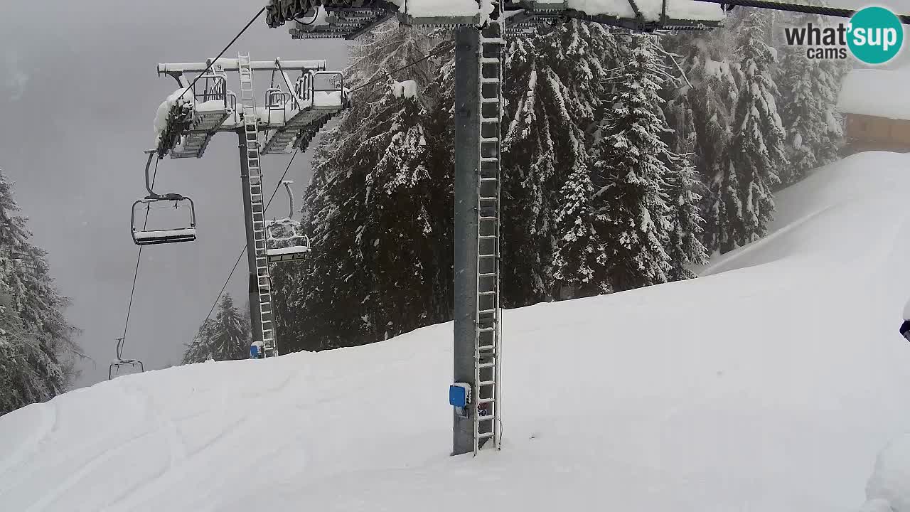 Webcam VITRANC 2 | Kranjska Gora – stazione superiore