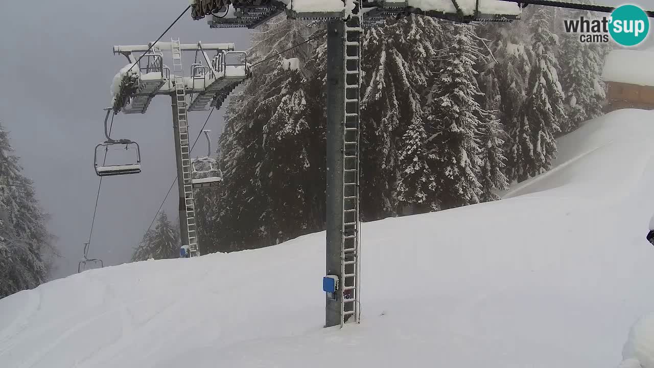 Webcam Kranjska Gora VITRANC 2 upper station