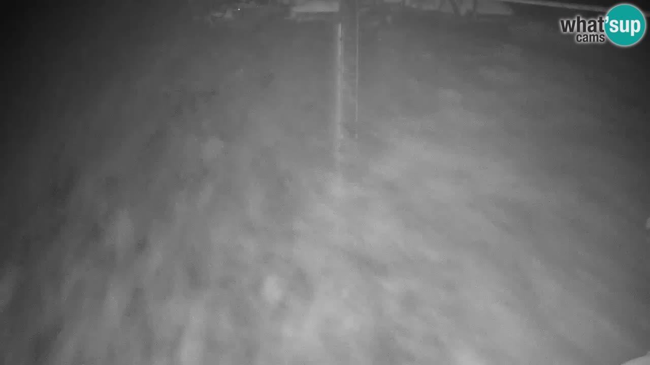 Web kamera Kranjska Gora VITRANC 2 | gornja postaja