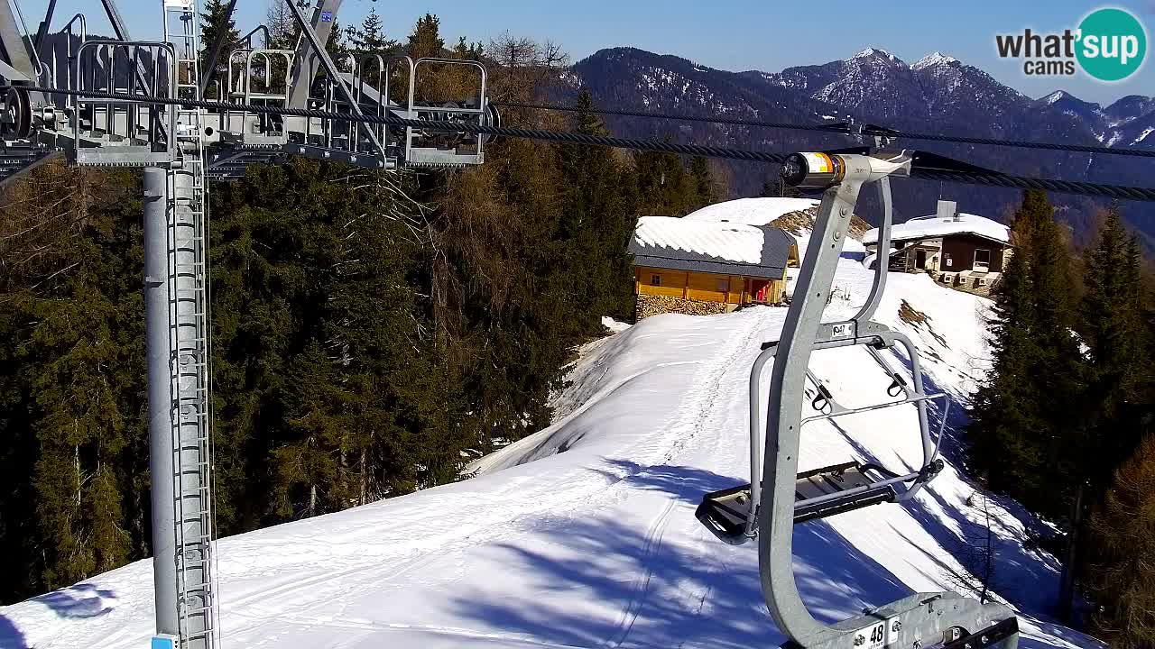 Webcam VITRANC 2 | Kranjska Gora – stazione superiore
