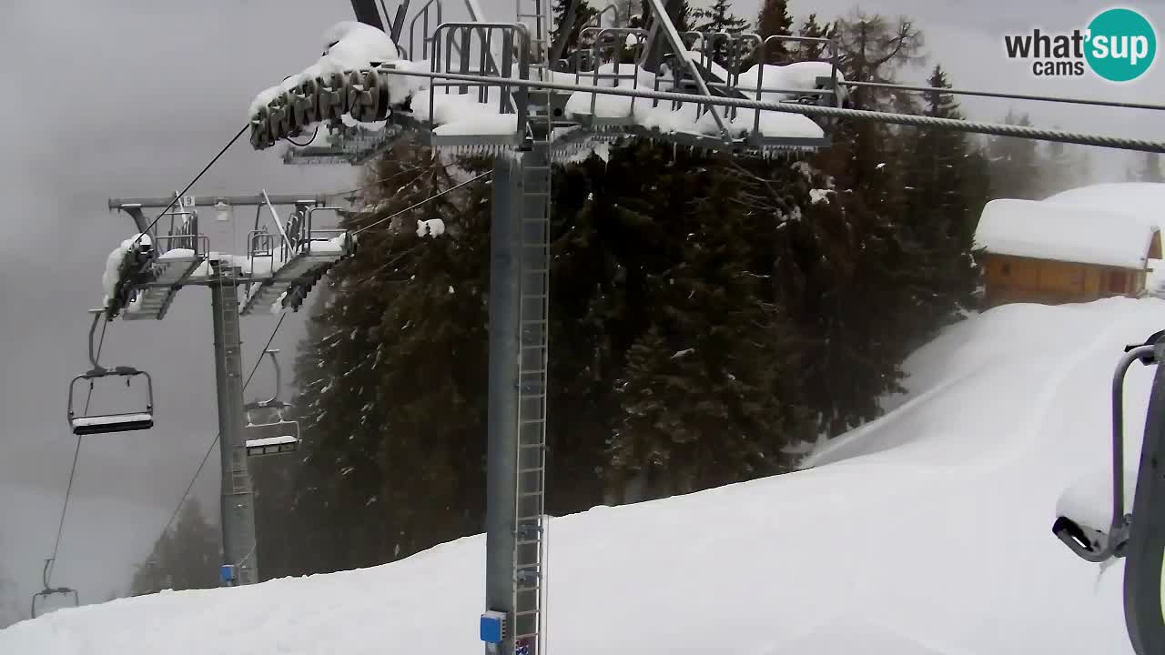 Web kamera Kranjska Gora VITRANC 2 | gornja postaja