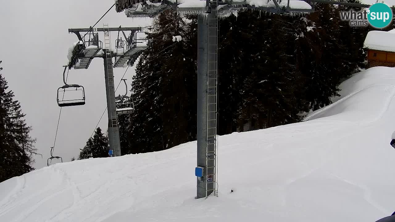 Web kamera Kranjska Gora VITRANC 2 | gornja postaja
