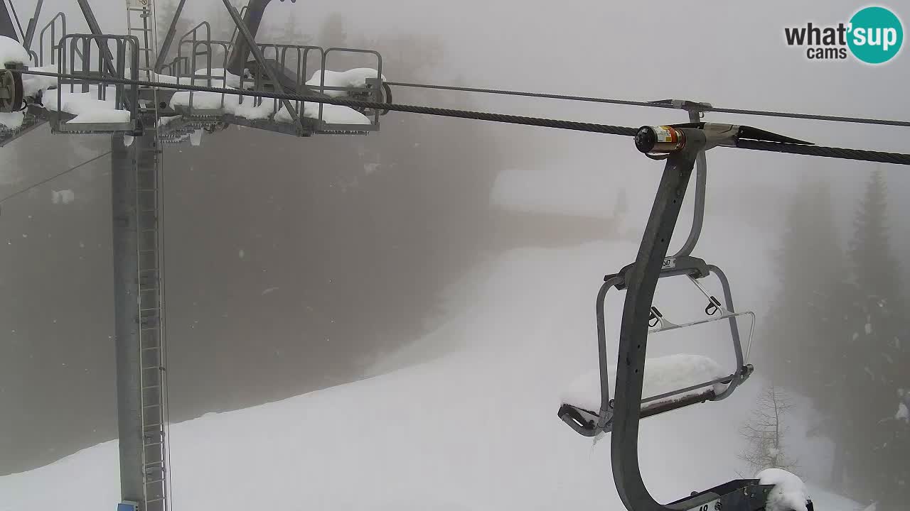 Web kamera Kranjska Gora VITRANC 2 | gornja postaja