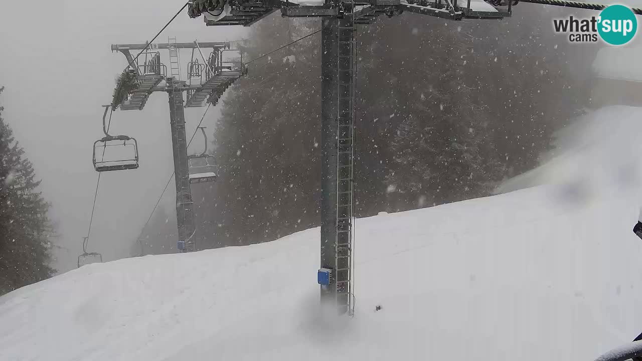Webcam Kranjska Gora VITRANC 2 | Station supérieure