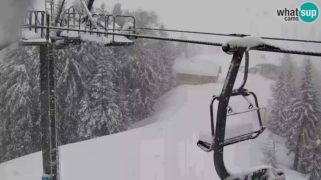 Webcam Kranjska Gora VITRANC 2 | station supérieure