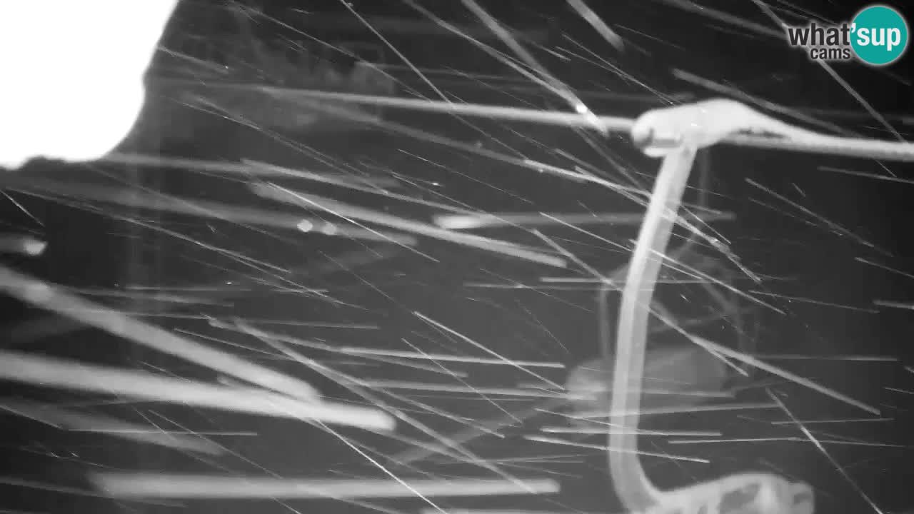 Web kamera Kranjska Gora VITRANC 2 | gornja postaja