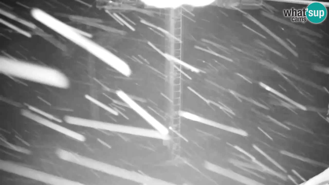 Kranjska Gora webcam VITRANC 2 | Bergstation