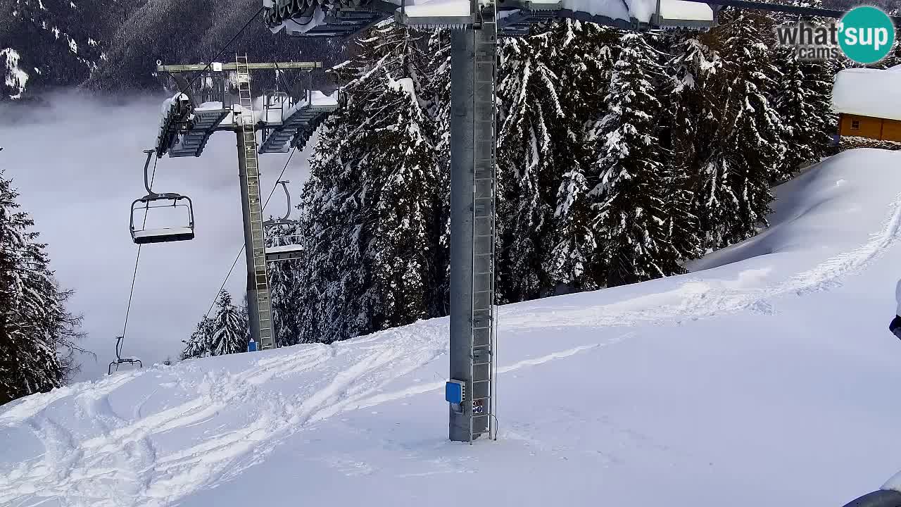 Web kamera Kranjska Gora VITRANC 2 | gornja postaja