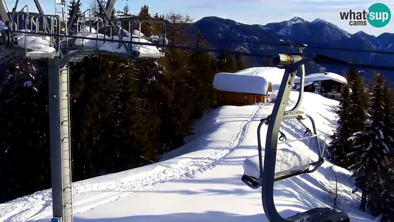 Web kamera Kranjska Gora VITRANC 2 | gornja postaja