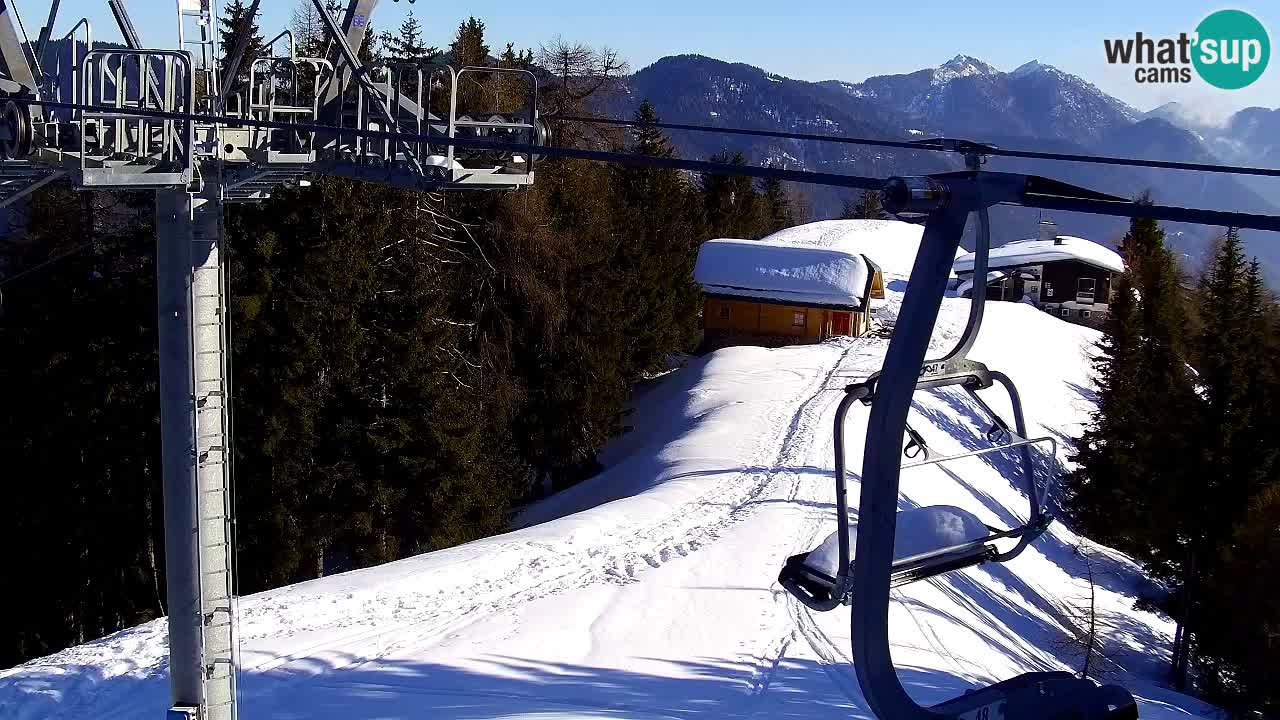 Webcam VITRANC 2 | Kranjska Gora – stazione superiore