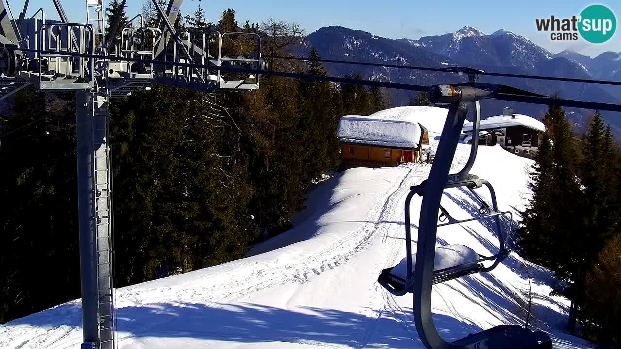 Webcam Kranjska Gora VITRANC 2 | Station supérieure