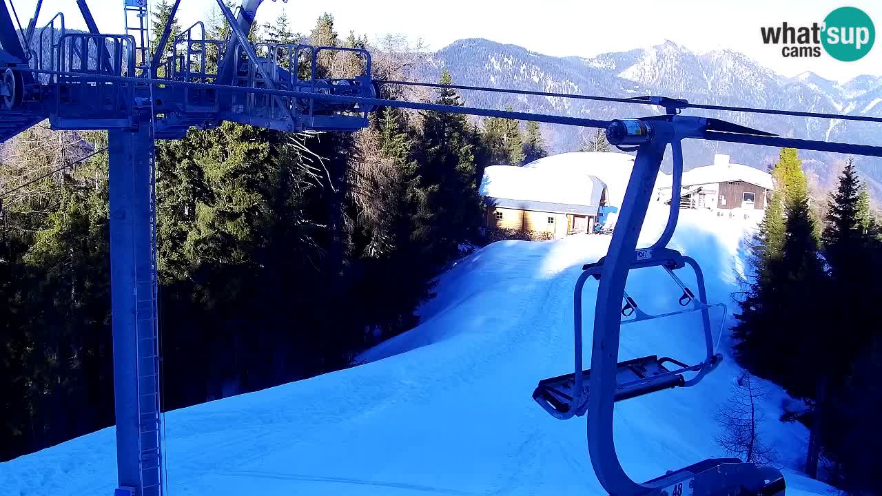 Webcam VITRANC 2 | Kranjska Gora – stazione superiore