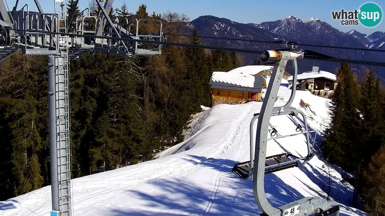 Webcam Kranjska Gora VITRANC 2 | station supérieure