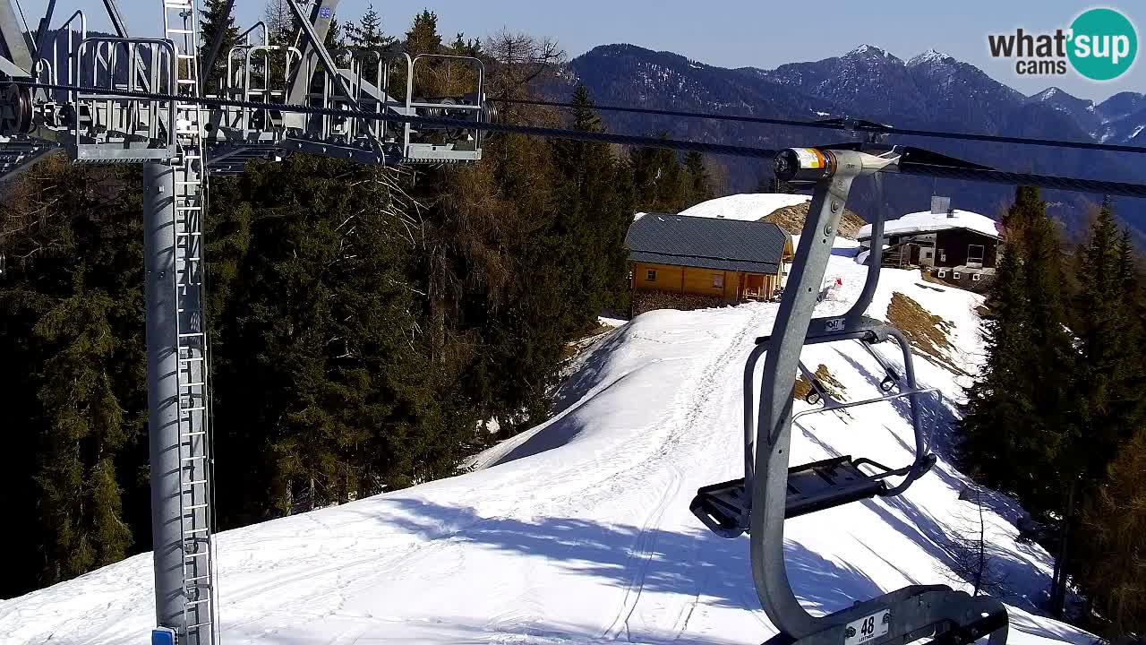 Web kamera Kranjska Gora VITRANC 2 | gornja postaja