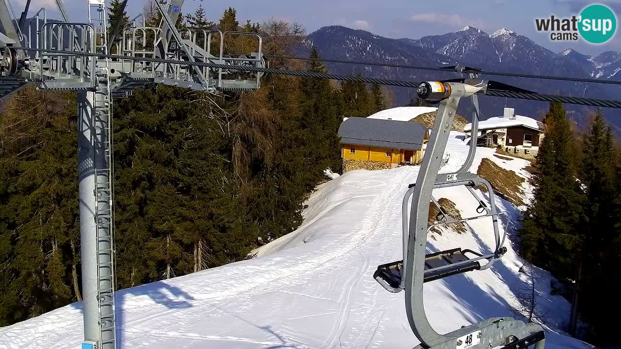 Web kamera Kranjska Gora VITRANC 2 | gornja postaja