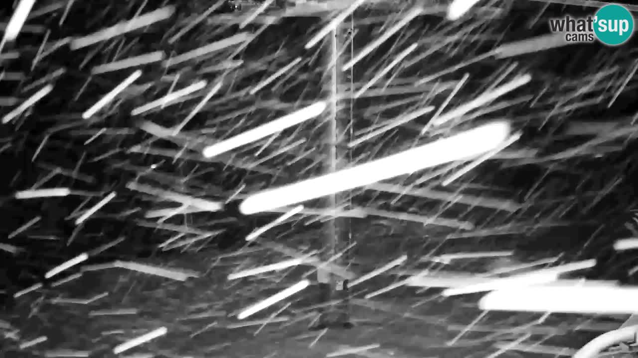 Webcam Kranjska Gora VITRANC 2 upper station