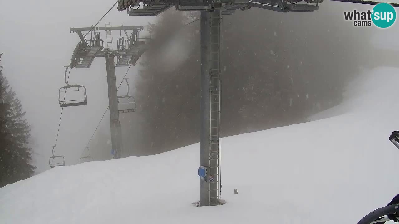 Webcam VITRANC 2 | Kranjska Gora – stazione superiore