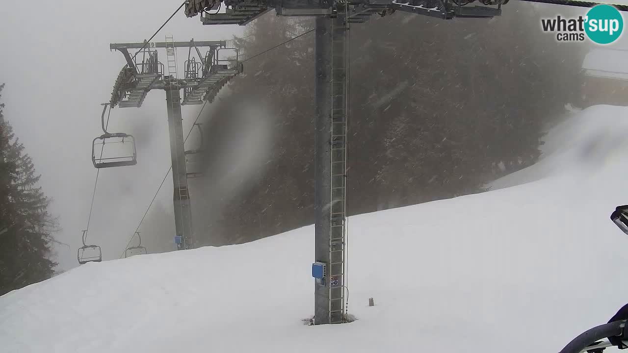 Webcam VITRANC 2 | Kranjska Gora – stazione superiore