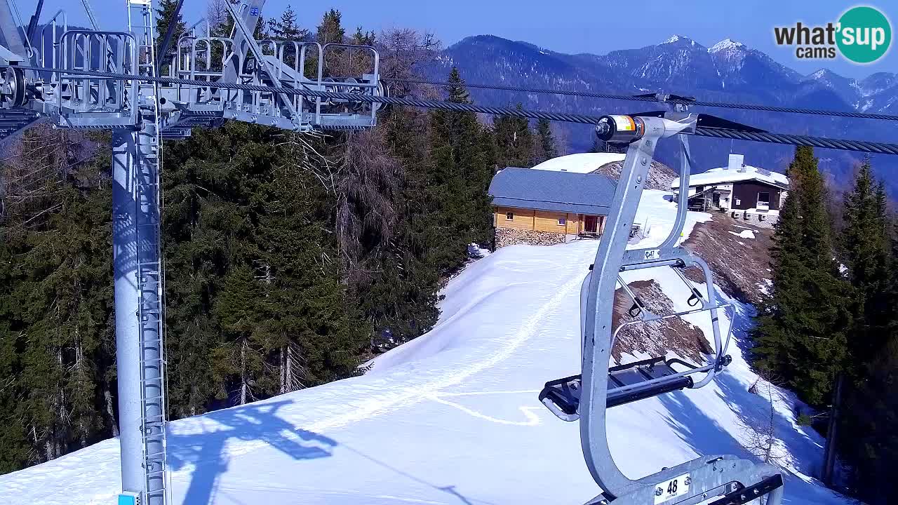 Webcam Kranjska Gora VITRANC 2 | station supérieure