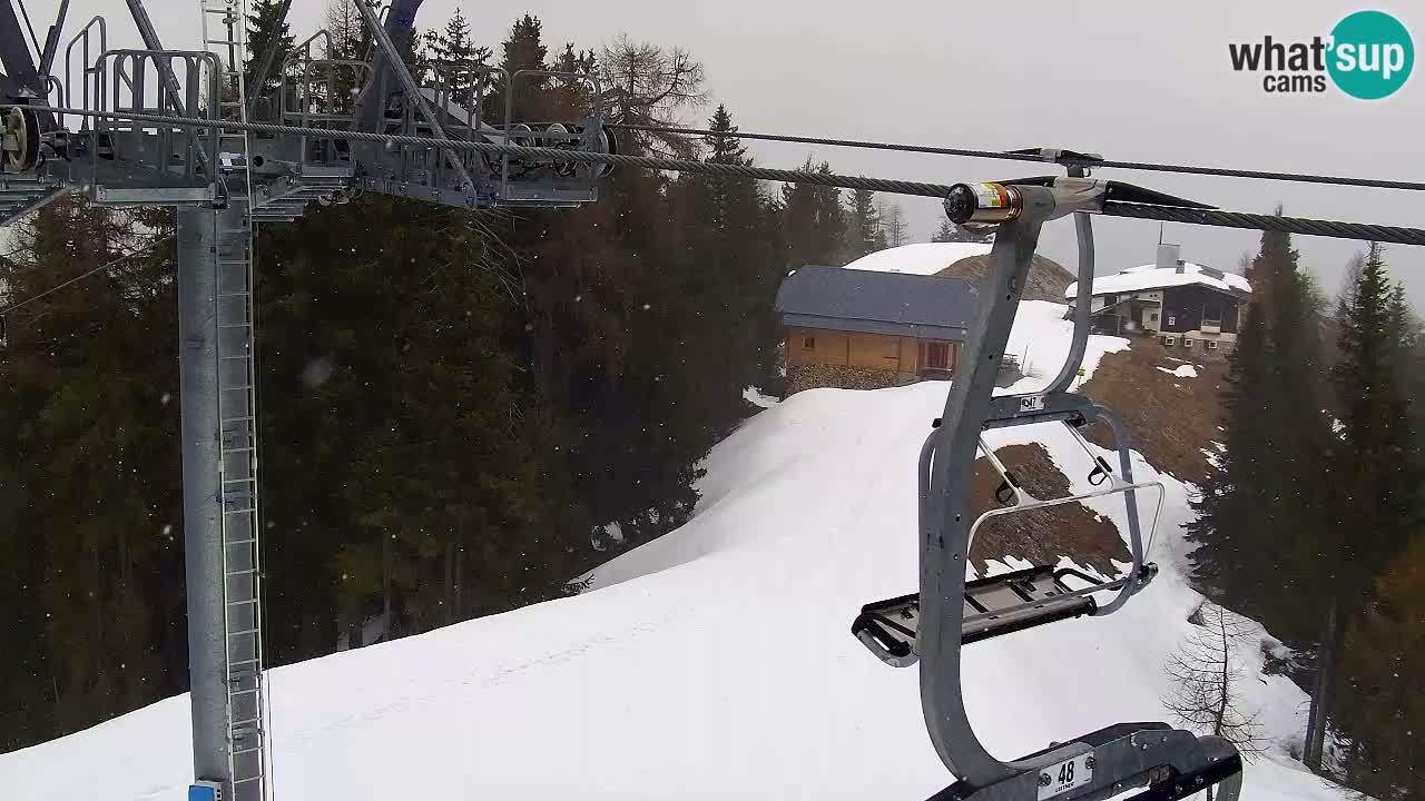 Web kamera Kranjska Gora VITRANC 2 | gornja postaja