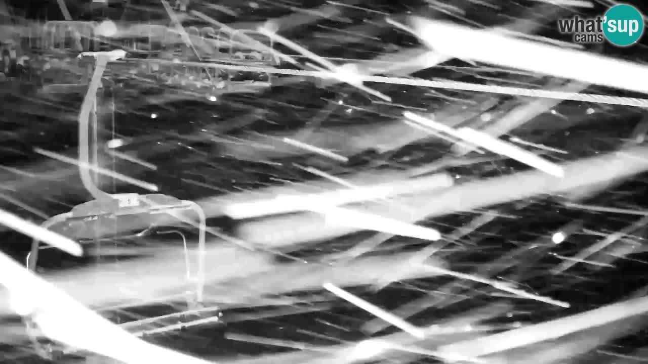 Web kamera Kranjska Gora VITRANC 2 | gornja postaja