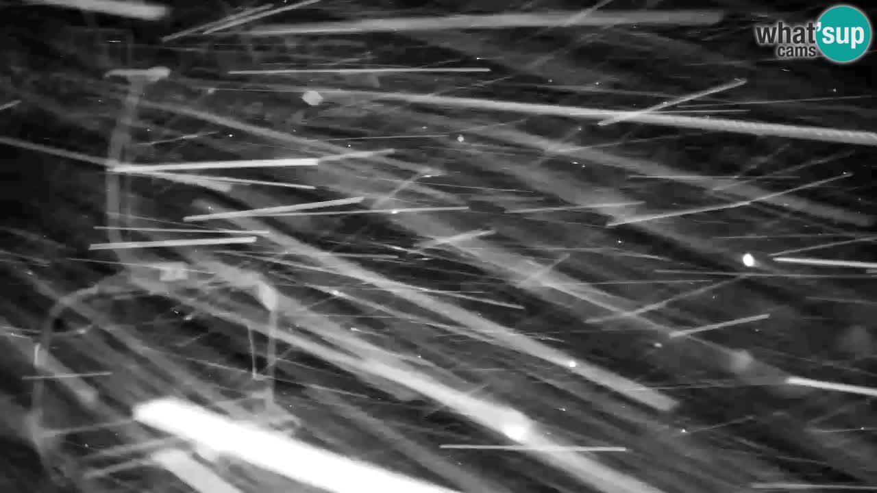 Kamera VITRANC 2 Kranjska Gora – Gornja postaja