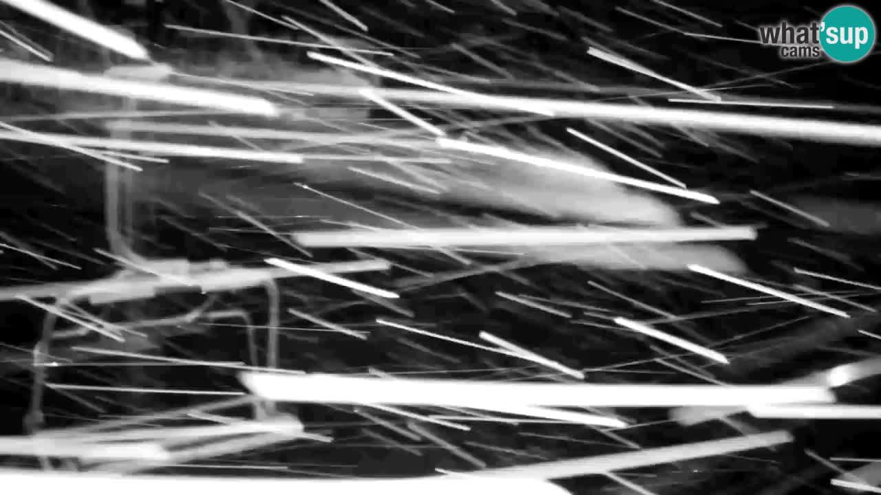 Webcam Kranjska Gora VITRANC 2 upper station