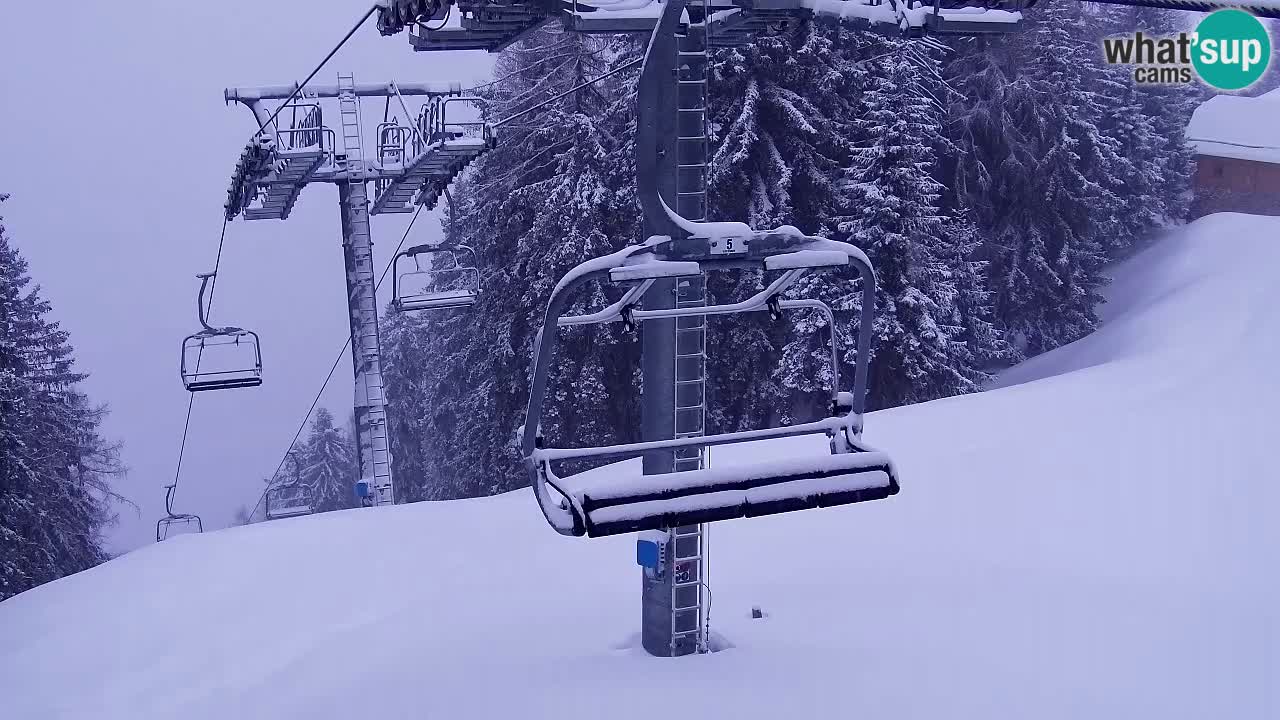 Webcam Kranjska Gora VITRANC 2 | Station supérieure