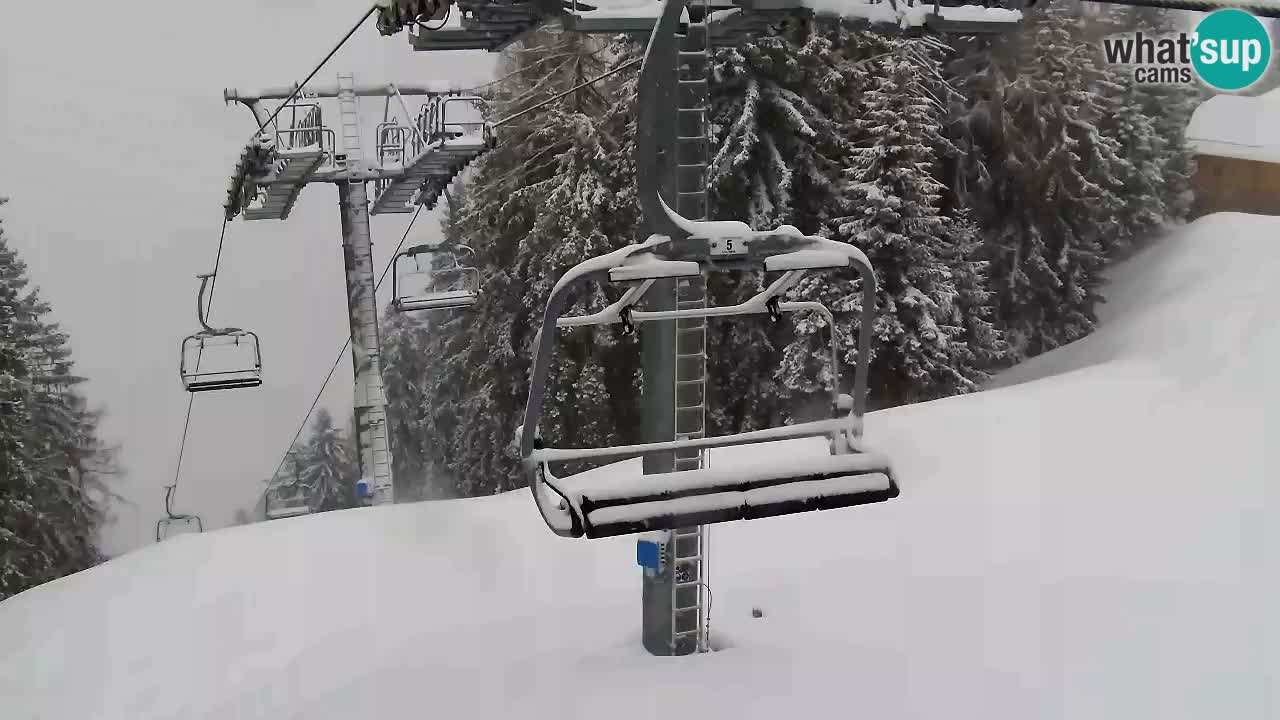 Webcam VITRANC 2 | Kranjska Gora – stazione superiore