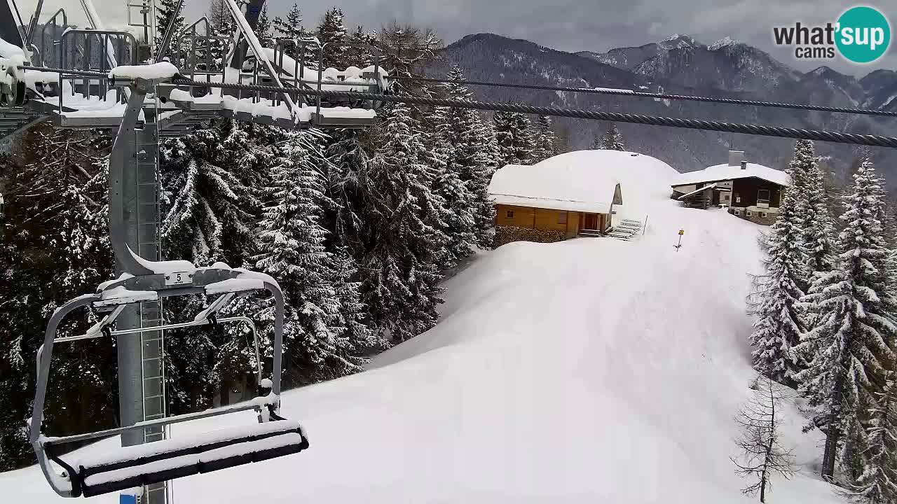 Web kamera Kranjska Gora VITRANC 2 | gornja postaja