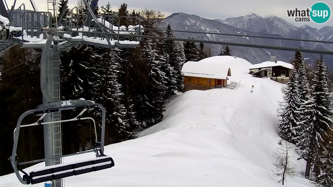 Web kamera Kranjska Gora VITRANC 2 | gornja postaja