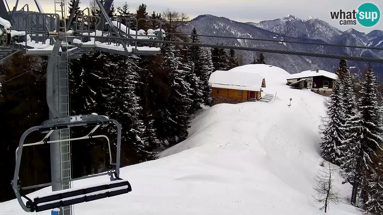 Webcam VITRANC 2 | Kranjska Gora – stazione superiore
