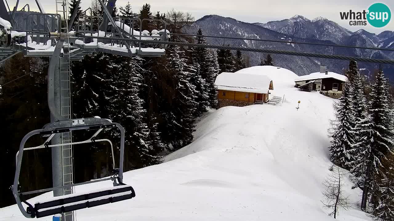 Webcam Kranjska Gora VITRANC 2 | station supérieure