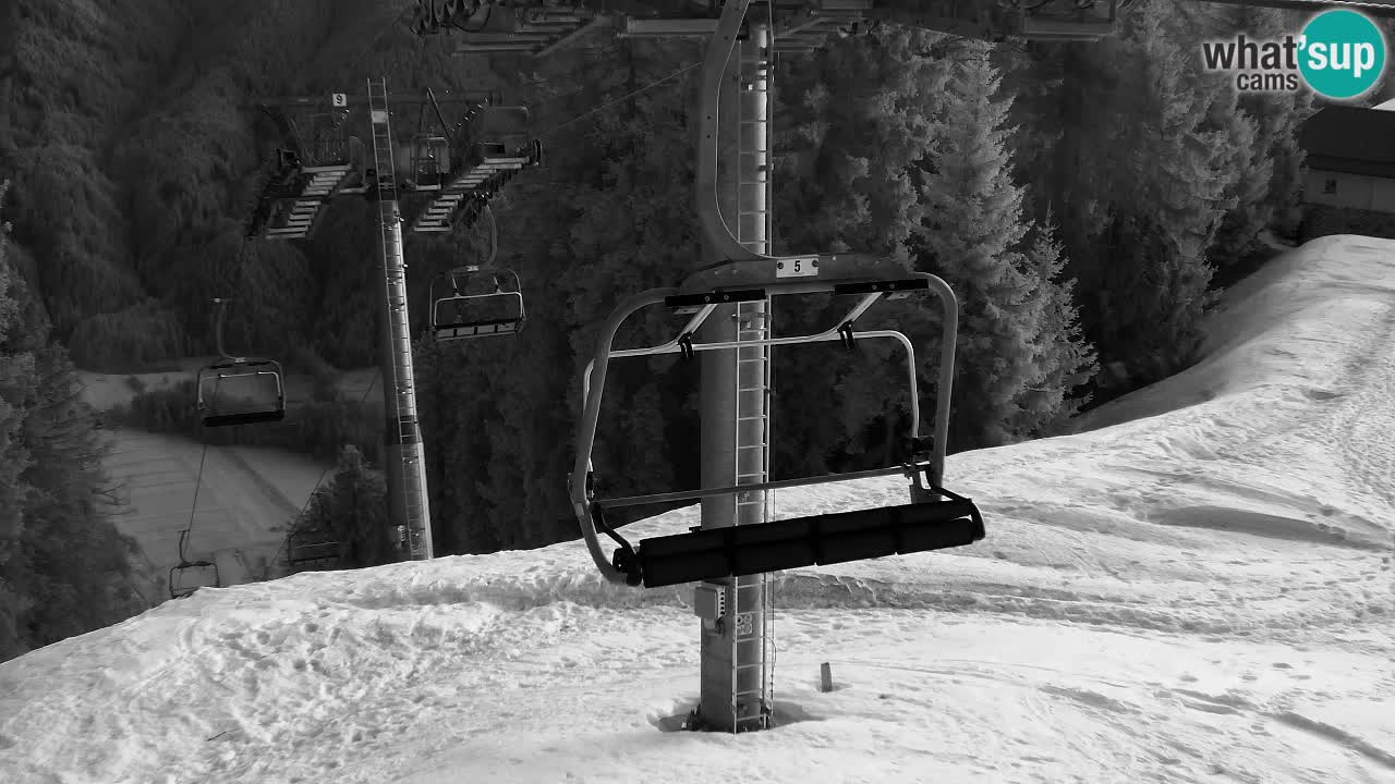 Webcam Kranjska Gora VITRANC 2 | station supérieure