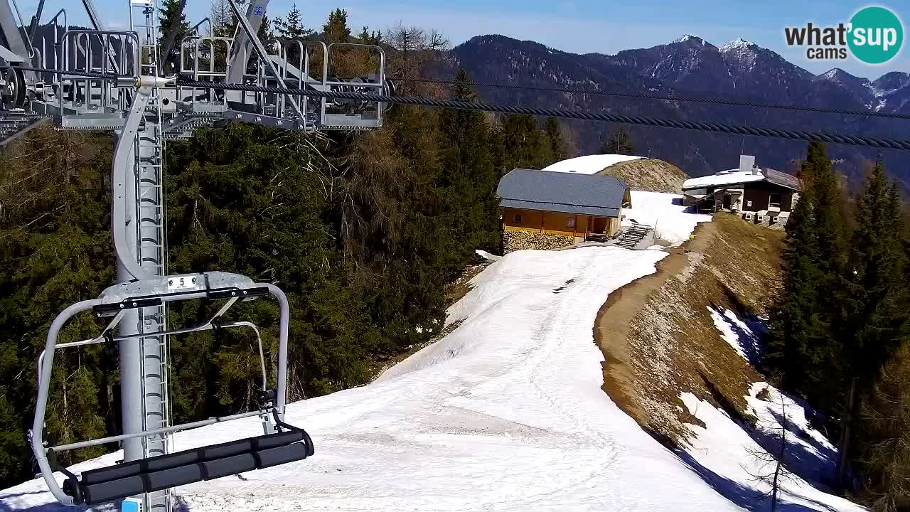 Web kamera Kranjska Gora VITRANC 2 | gornja postaja