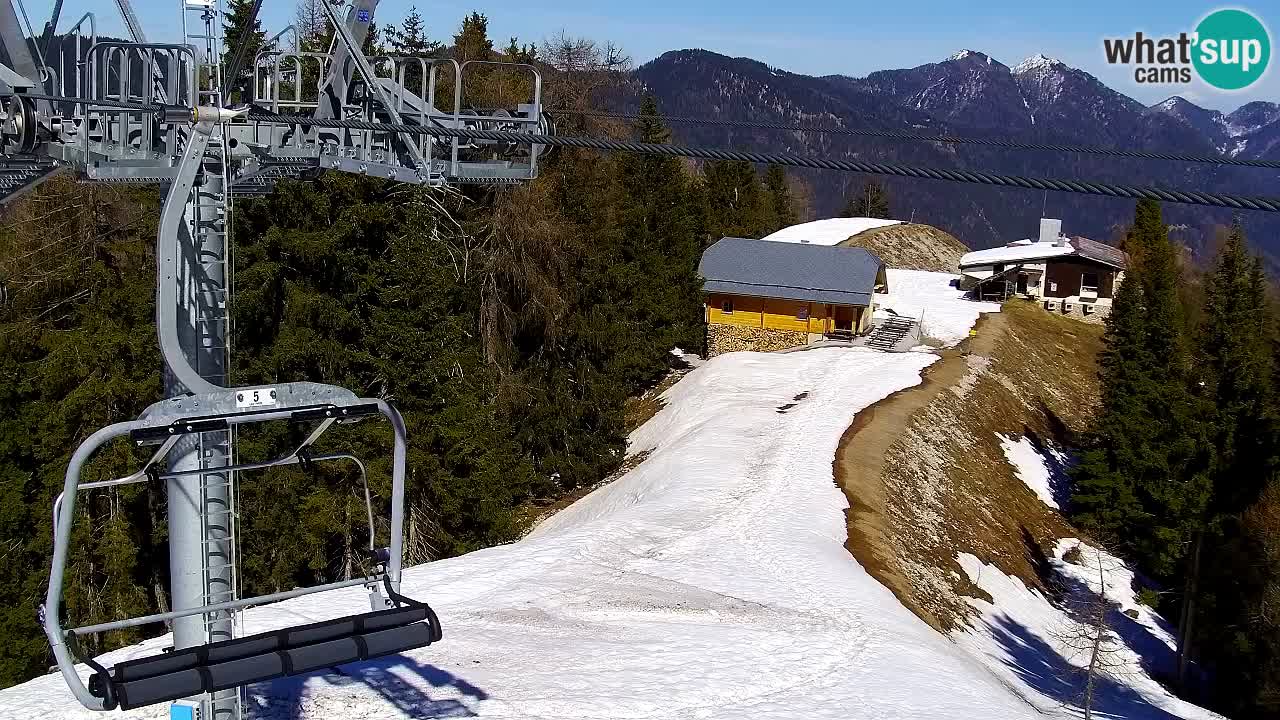 Webcam Kranjska Gora VITRANC 2 | Station supérieure
