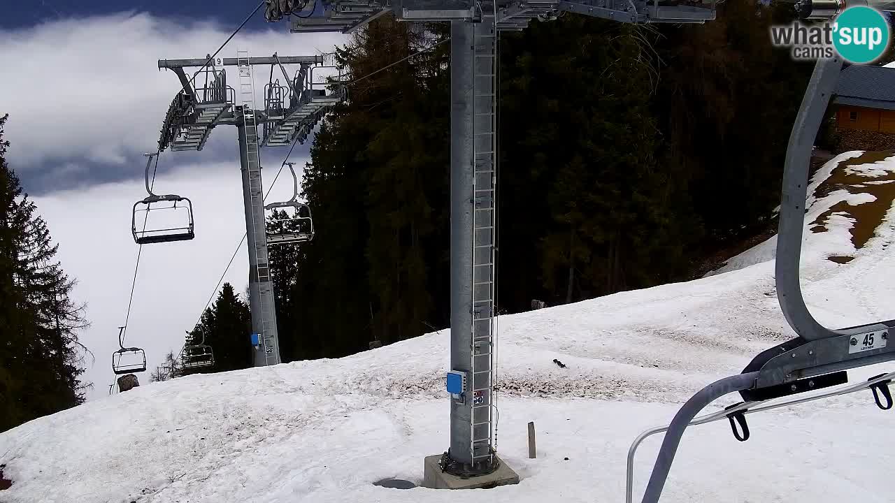 Web kamera Kranjska Gora VITRANC 2 | gornja postaja