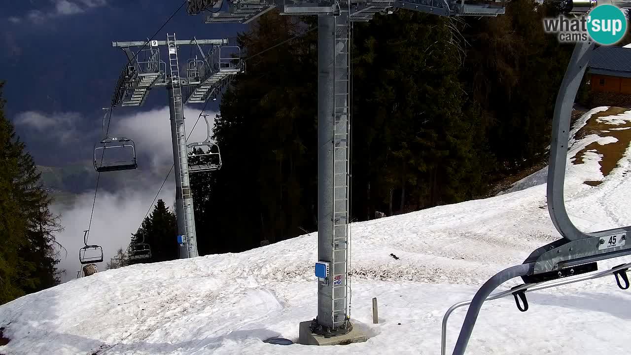 Webcam Kranjska Gora VITRANC 2 | station supérieure