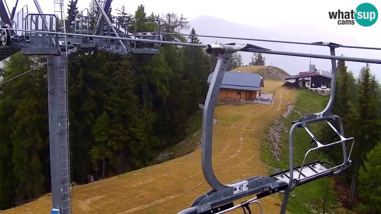 Web kamera Kranjska Gora VITRANC 2 | gornja postaja