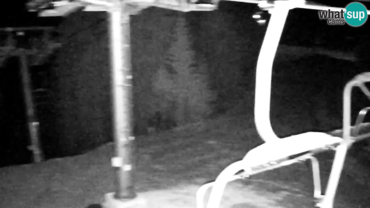 Webcam Kranjska Gora VITRANC 2 | station supérieure
