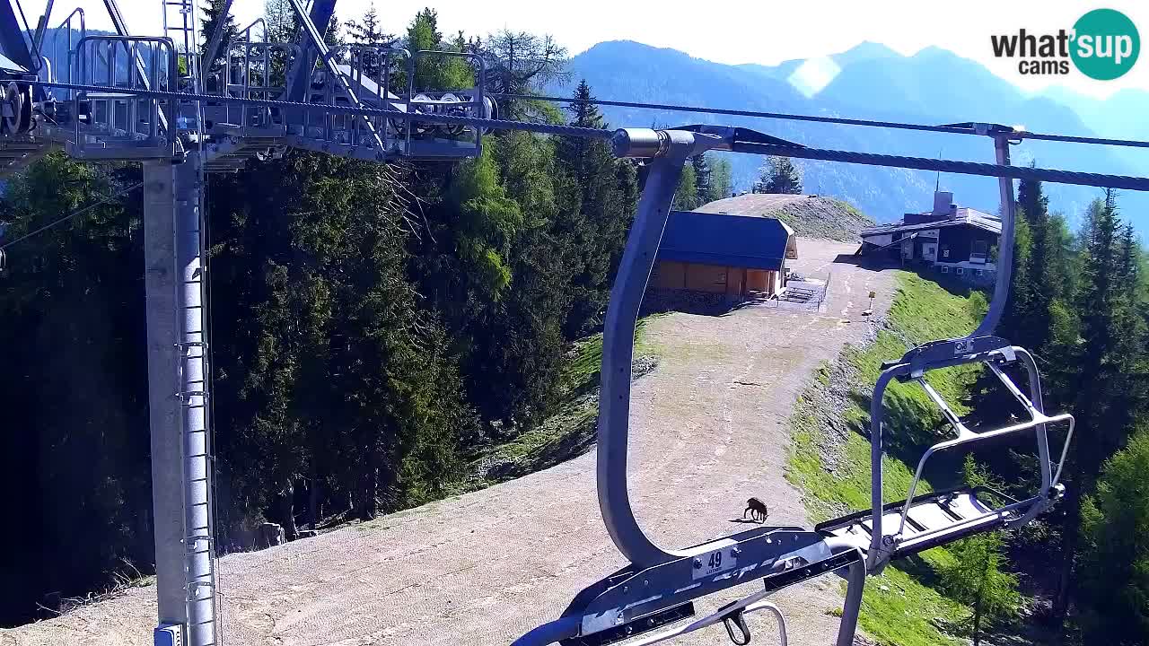 Webcam VITRANC 2 | Kranjska Gora – stazione superiore