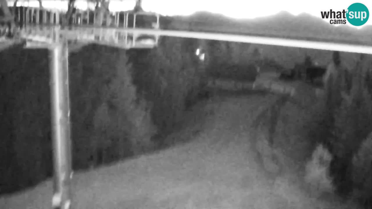Kranjska Gora webcam VITRANC 2 | Bergstation